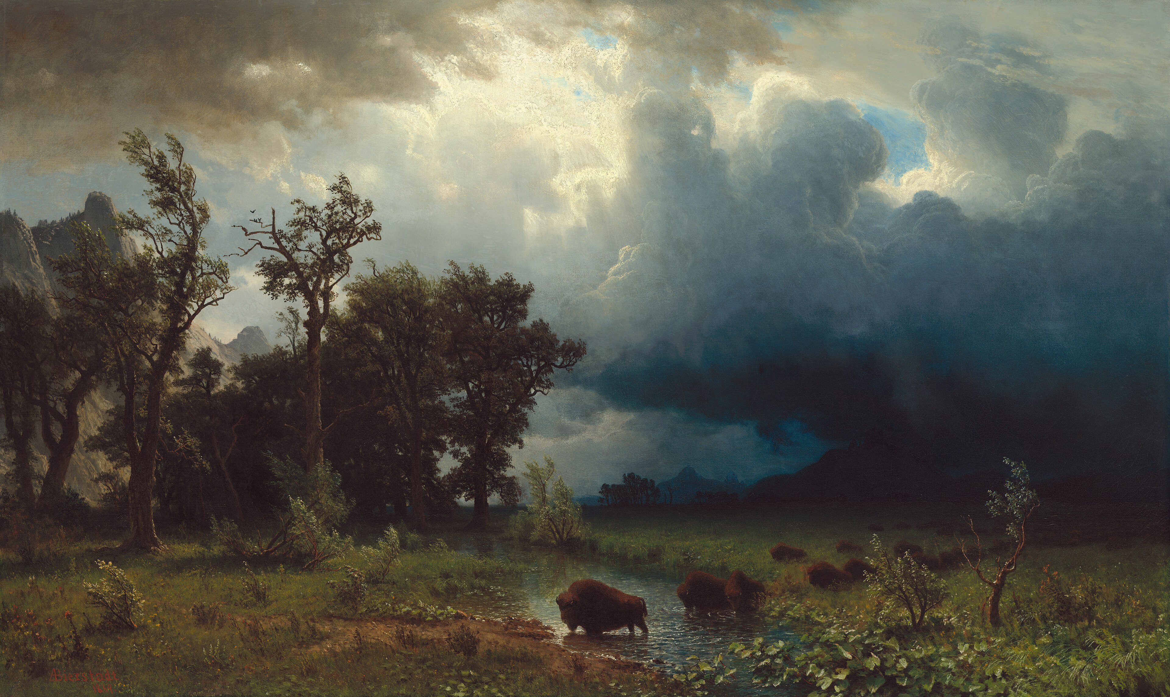 A_Buffalo Trail-The Impending Storm